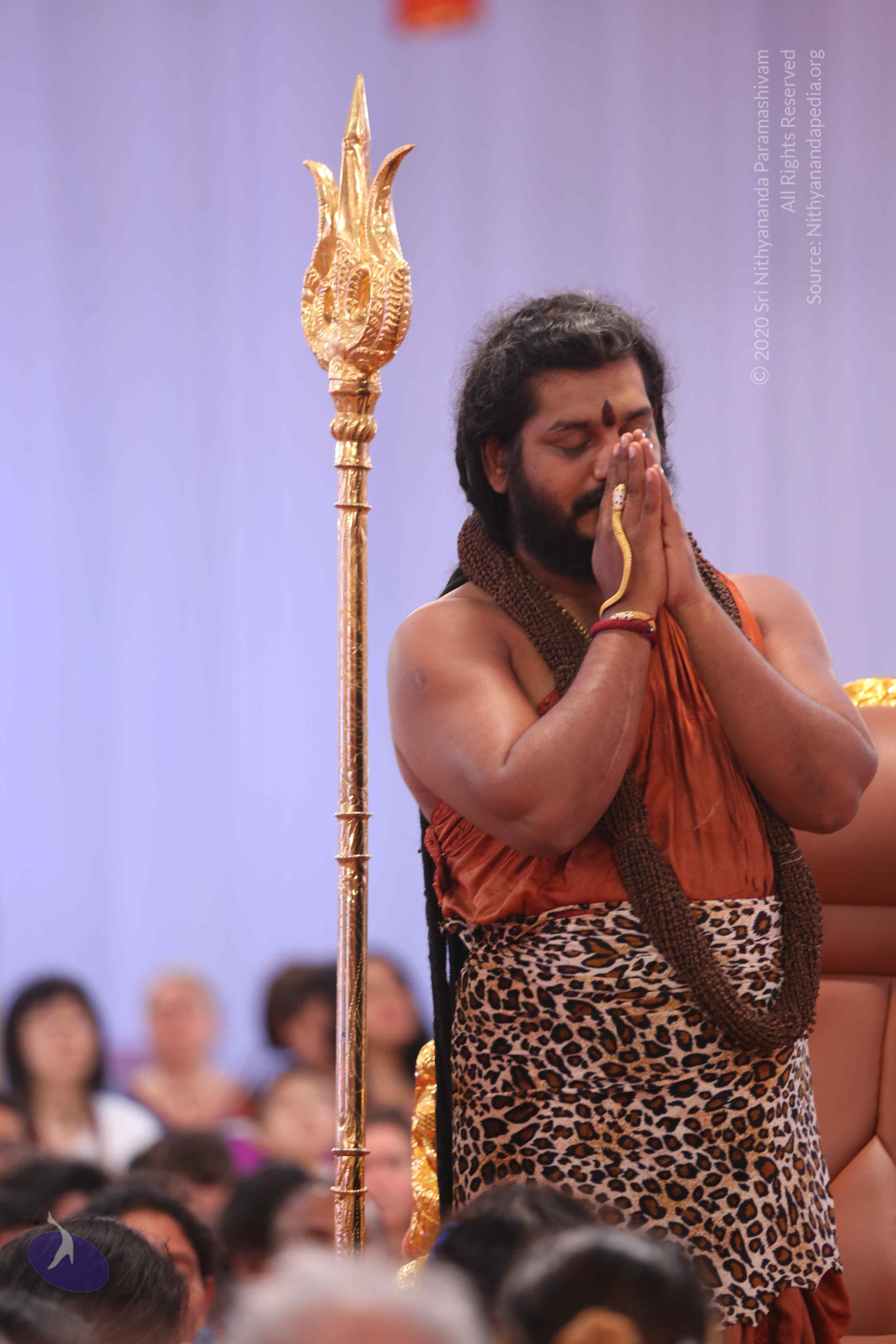 20161204_Photo_1215_IMGL5673_CMP_WM